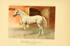 BookReaderImages27.webp