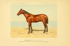 BookReaderImages28.webp