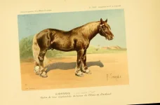 BookReaderImages29.webp