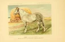 BookReaderImages30.webp
