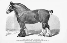 BookReaderImages2.webp