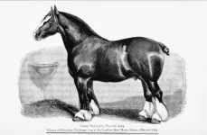 BookReaderImages4.webp