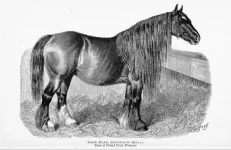 BookReaderImages5.webp