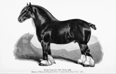 BookReaderImages7.webp