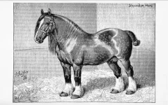 BookReaderImages8.webp