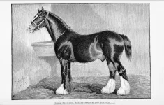 BookReaderImages9.webp