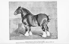 BookReaderImages10.webp