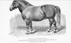 BookReaderImages11.webp