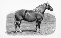 BookReaderImages13.webp
