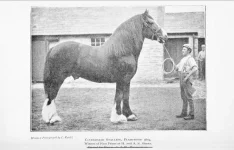 BookReaderImages14.webp