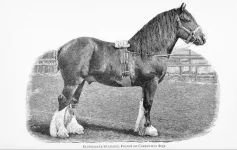 BookReaderImages15.webp