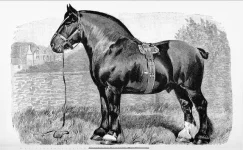 BookReaderImages16.webp