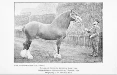 BookReaderImages18.webp