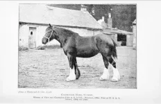BookReaderImages19.webp