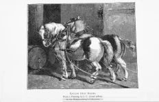 BookReaderImages20.webp