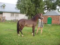 букет.webp