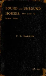 книга.webp