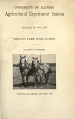 BookReaderImages.webp