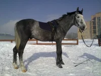 06032010023.webp