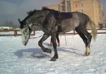 06032010044.webp