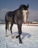 06032010051.webp