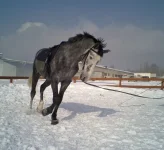 06032010058.webp
