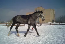 06032010084.webp