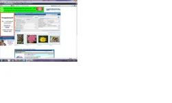 Безымянный.webp