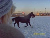 SDC11930.webp