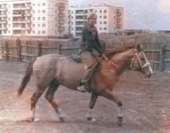 Матрос.webp