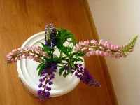 IMG_0002.webp