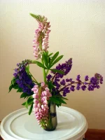 IMG_0004.webp