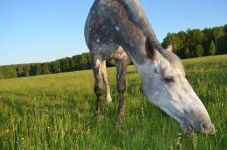 vTo1m3_eitg.webp
