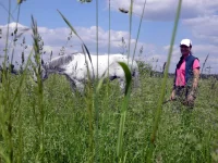 DSCN5347.webp