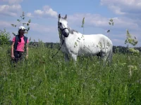 DSCN5350.webp
