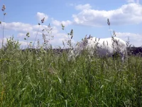 DSCN5359.webp