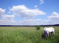 DSCN5364.webp