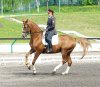 0_363c1_2f0d45ed_L[1].jpg