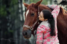 24.webp