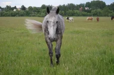 n9mleFPpCMY.webp