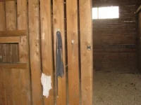 8887d9897cd9.webp