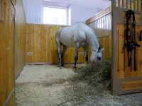 001.webp