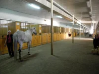 011.webp