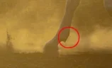 leg.webp