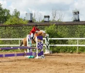 DSC08834.webp