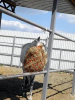 DSCN5398.webp