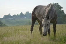 sDQ3hup0oTI.webp