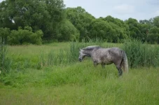 5rsWUetm7mQ.webp
