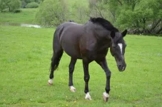 hK8eeEJaNac.webp
