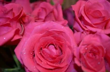 07lXz6Fmo5w.webp